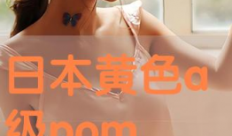 日本a级视频,激情与禁忌的交织